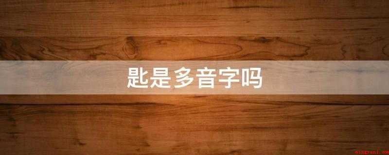 匙是多音字吗(读音有区别词性和词义的作用)