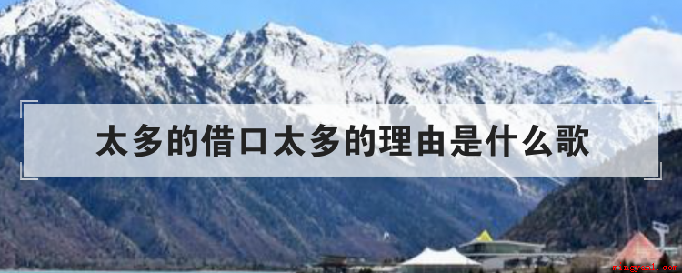 太多的借口太多的理由是什么歌(有“太多的借口太多”歌词的是什么歌呢?)