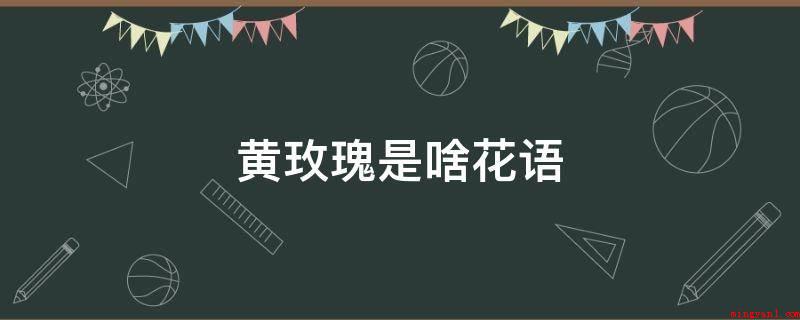 黄玫瑰是啥花语(黄玫瑰花语的那天,没有任何征兆和预感,我一向自以为豪的预测能)
