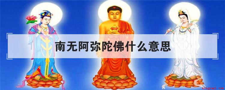 南无阿弥陀佛什么意思(南无阿弥陀佛是什么意思?)