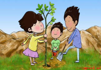 2022全国植树适宜范围地图出炉 哪些地方适合植树 2022全国植树适宜范围地图出炉(2022全国植树适宜范围地图)