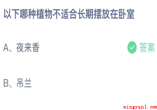 以下哪种植物不适合长期摆放在卧室 蚂蚁庄园3月23日答案最新 以下哪种植物不适合长期摆放在卧室(哪种植物不适合长期摆放在卧室)