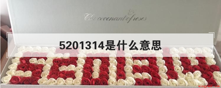 5201314是什么意思(5201314到底是什么意思)