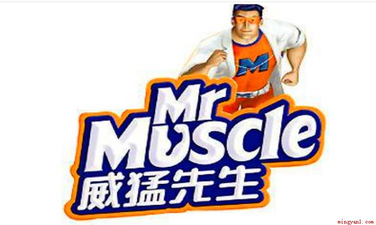 MR作为英文缩写有很多种含义,可以用来表示MR存储器读出