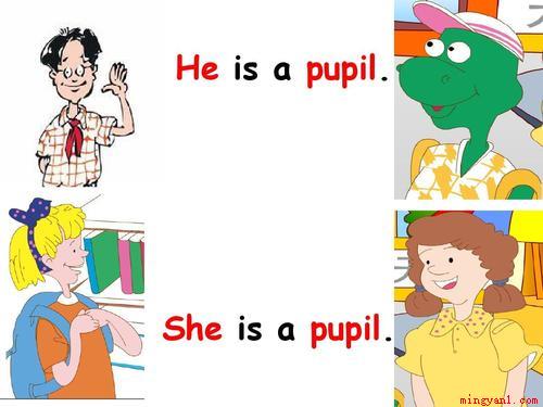 pupil是什么意思(student替代单词pupil)