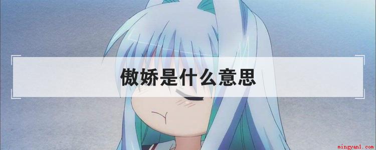 傲娇是什么意思(你知道傲娇的具体意思吗)