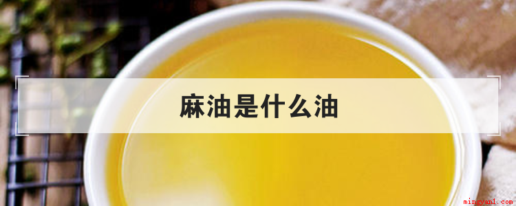 麻油是什么油(麻油是什么油吗)