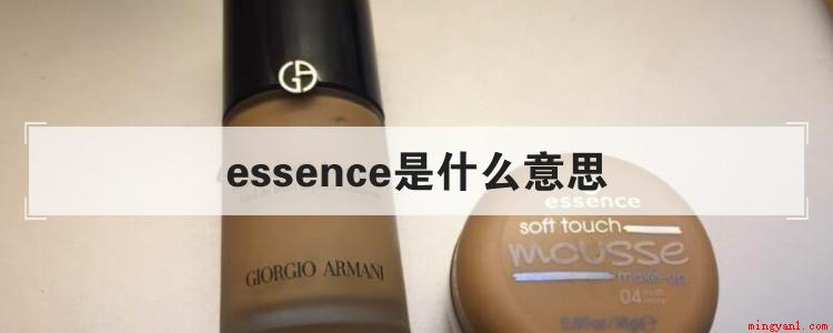 essence是什么意思(essence of consultation is to )
