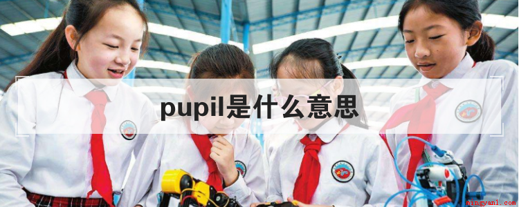 pupil是什么意思(student替代单词pupil)