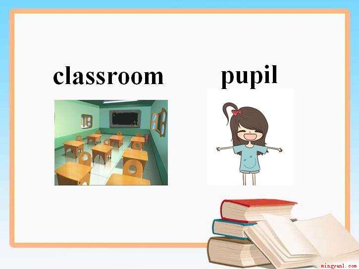 pupil是什么意思(student替代单词pupil)