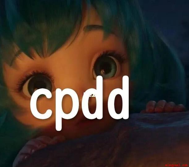 cpdd是什么意思网络用语(cpdd是什么意思的网络用语如何更好的理解)
