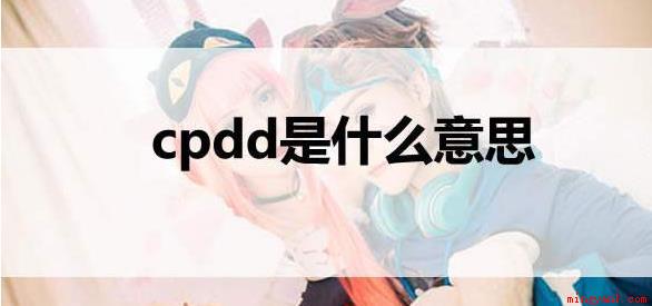 cpdd是什么意思网络用语(cpdd是什么意思的网络用语如何更好的理解)