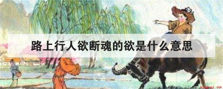 路上行人欲断魂的欲是什么意思（路上行人欲断魂的欲意思）