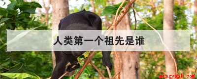 人类第一个祖先是谁(人类的第一个祖先是谁)