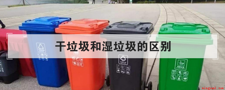 干垃圾和湿垃圾的区别(一般干垃圾和湿垃圾有什么区别)