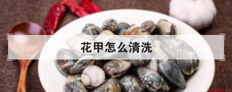 花甲怎么清洗（花甲怎么清洗比较干净）