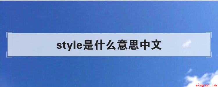 style是什么意思中文