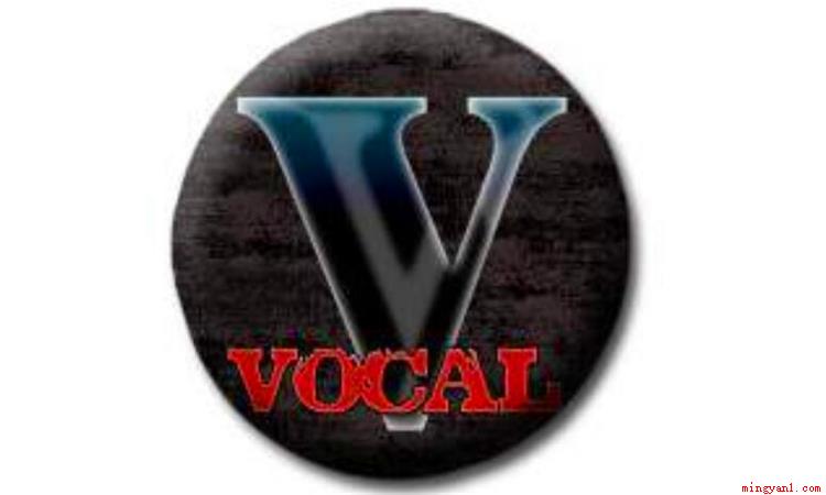 vocal是什么意思(vocal这个英文单词有好几种使用方法)