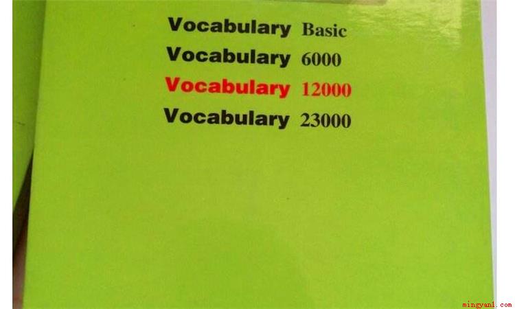 vocal是什么意思(vocal这个英文单词有好几种使用方法)
