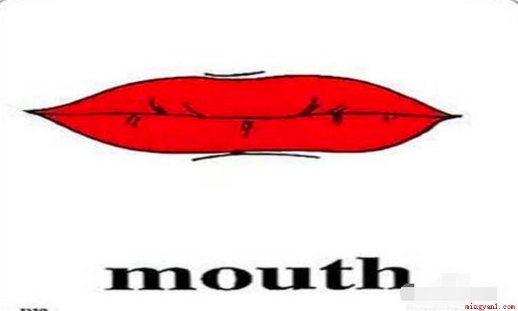 mouth是什么意思(mouth作名词的时候意思)
