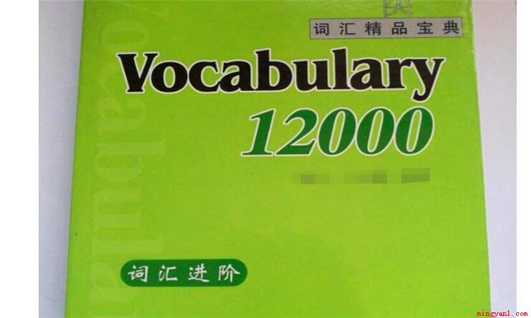 vocal是什么意思(vocal这个英文单词有好几种使用方法)