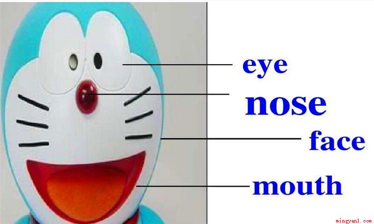 mouth是什么意思(mouth作名词的时候意思)