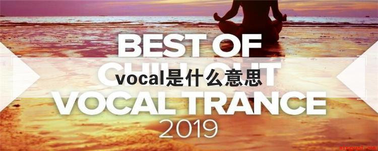 vocal是什么意思(vocal这个英文单词有好几种使用方法)