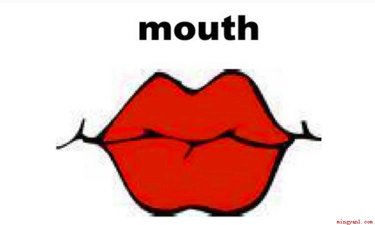mouth是什么意思(mouth作名词的时候意思)