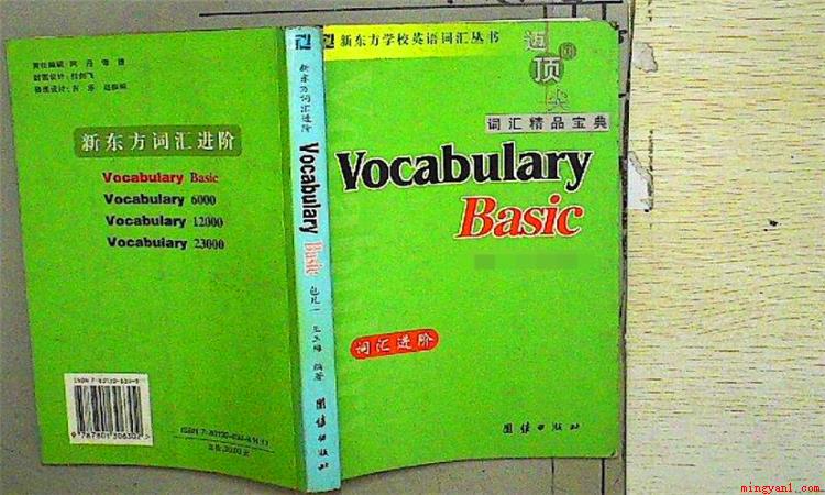 vocal是什么意思(vocal这个英文单词有好几种使用方法)