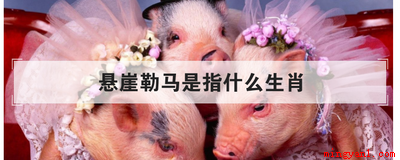 悬崖勒马是指什么生肖
