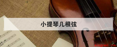 小提琴几根弦(常见的小提琴有几根弦)