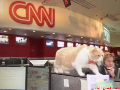 CNN是美国有线电视新闻网,每天二十四小时的全球直播新闻报导