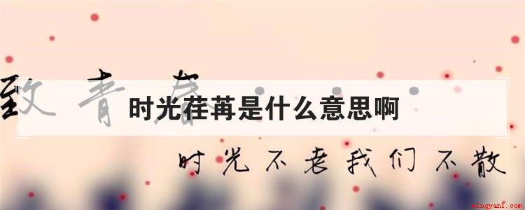 时光荏苒是什么意思啊(时光荏苒是个汉语成语,汉语拼音是sh gung rn rǎn)