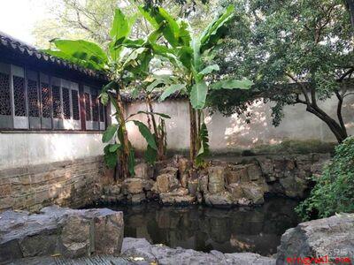 雨打芭蕉是哪里的音乐