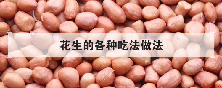 花生的吃法有哪些花生豆浆、麻辣香脆花生米、陈醋菠菜
