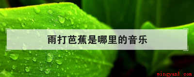 雨打芭蕉是哪里的音乐