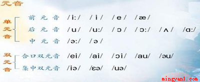 元音音素有哪些(英语音标共有48个音素)