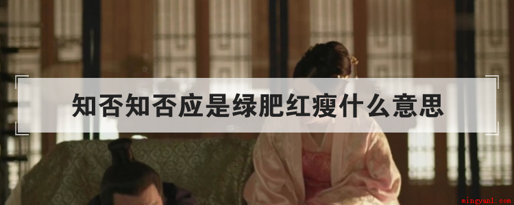 知否知否应是绿肥红瘦什么意思(李清照的景物描写是什么意思)
