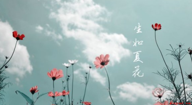 生如夏花的意思是指生命要像夏季的花朵那般绚烂夺目,努力去盛开