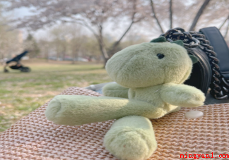 北京春游有哪些好玩的地方 北京赏花应该去哪里 北京春游有哪些好玩的地方(北京春游有哪些好玩的地方北京赏花应该去哪里)