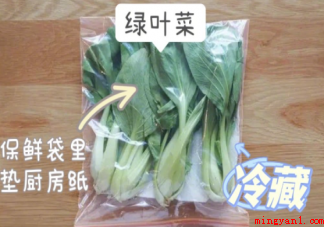 如何正确保存蔬菜（如何正确保存蔬菜 不同种类蔬菜如何保存）