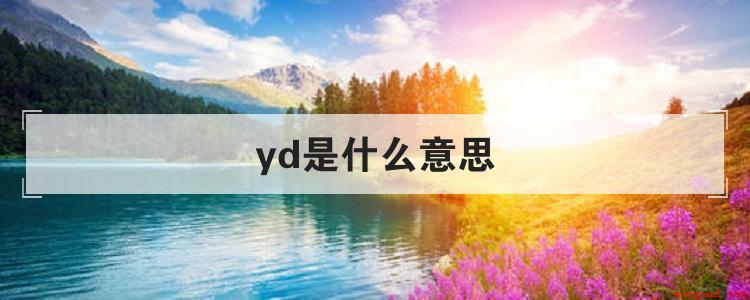 yd是什么意思(网络用语YD是淫荡的词语)