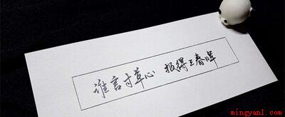 谁言寸草心报得三春晖什么意思(谁言寸草心,报得三春晖)
