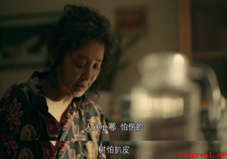 《亲爱的小孩》高彩屏是怎样的人 高彩屏是个好婆婆吗 《亲爱的小孩》高彩屏是怎样的人