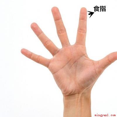 食指是哪个手指(食指是哪个手指按摩时要注意快速擦动)
