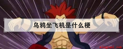 乌鸦坐飞机是什么梗是什么梗(乌鸦坐飞机做个梗,你知不知道这个动漫冷知识)