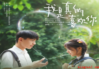 王靖雯《我是真的喜欢你》歌词是什么 《我是真的喜欢你》完整版歌词在线听歌 王靖雯《我是真的喜欢你》歌词是什么(王靖雯《我是真的喜欢你》完整版歌词在线听歌)