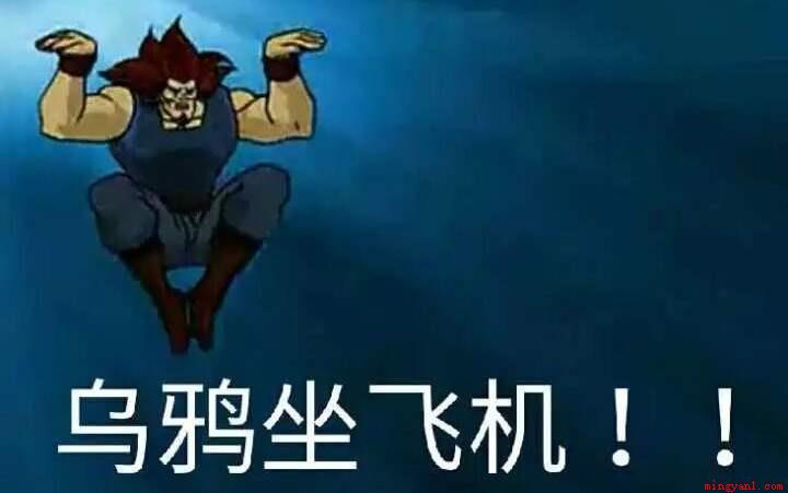 乌鸦坐飞机是什么梗是什么梗(乌鸦坐飞机做个梗,你知不知道这个动漫冷知识)