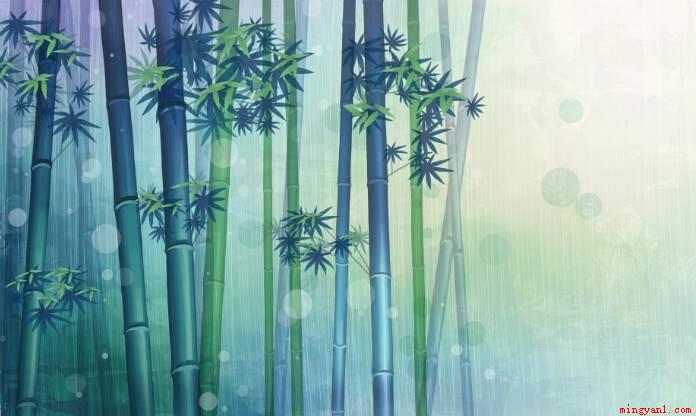 竹子是草还是树(草竹子是草,不是树。)