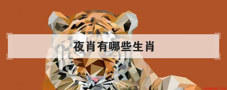 夜肖有哪些生肖(夜肖指晚上的生肖有哪些)